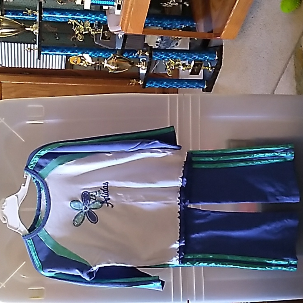 Girls 4T Blue & Teal Adidas Pant Set